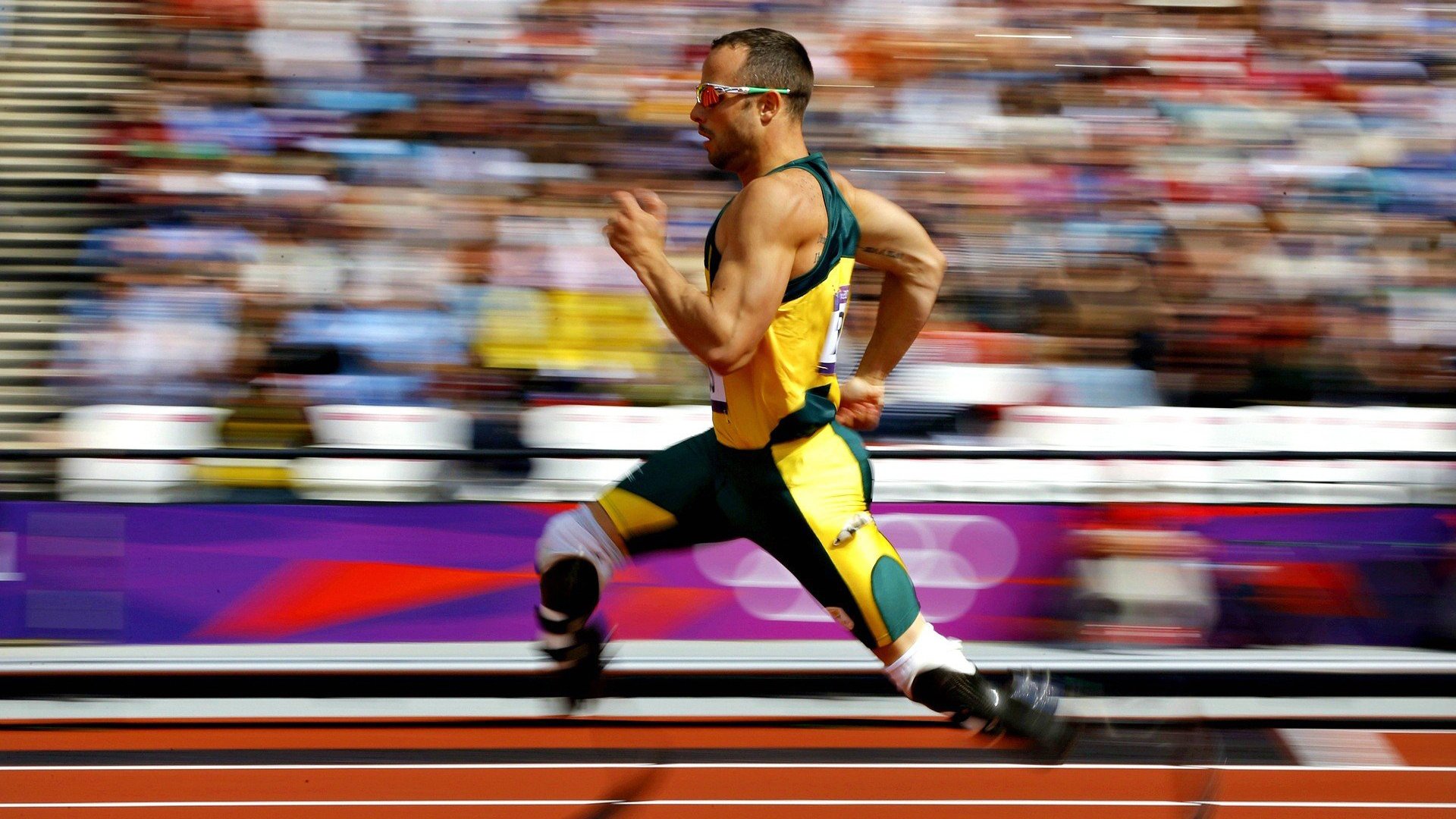 教科书般的绝杀，米切尔关键表现引领黄蜂压哨击败广东队