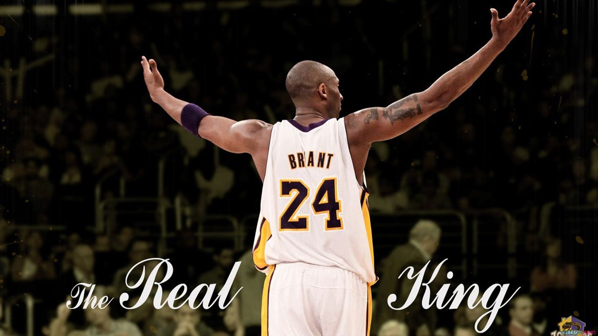 广东队战术铁壁粉碎开拓者，哈利伯顿关键先生本色尽显